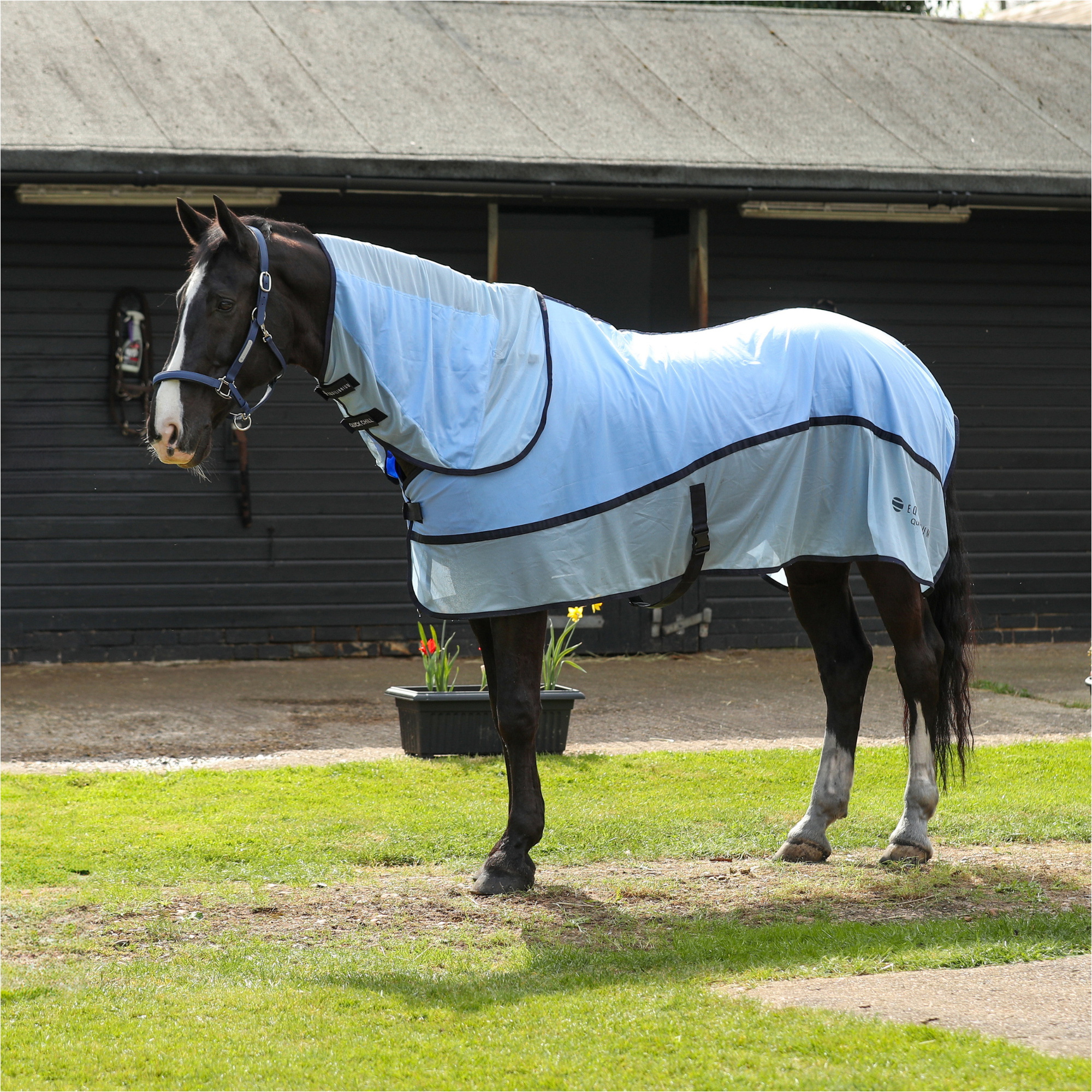 2026 Equilibrium Snel Koel Koele Mat En Hals Bundle EQBQCCRANBLB - Light Blue